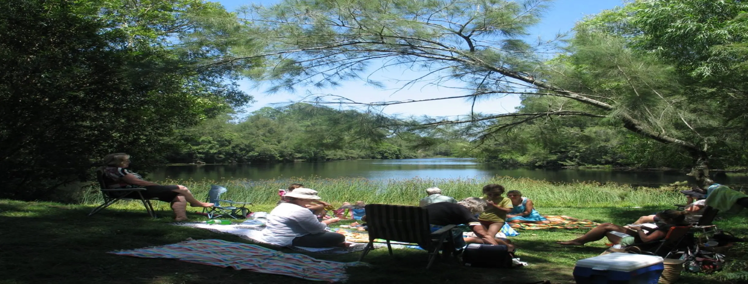 Image for Picnic by the River